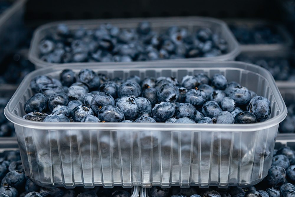 lastic containers filled with fresh blueberries ready for distribution
