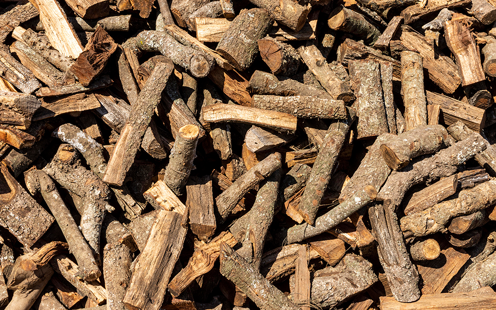 A heap of cut wood ready to be shredded via mechanical processes.