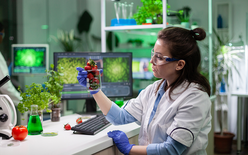 A Scientist girl doing laboratory research of red fruits and vegetable sources of cellulose, lignin and furfural compounds.  