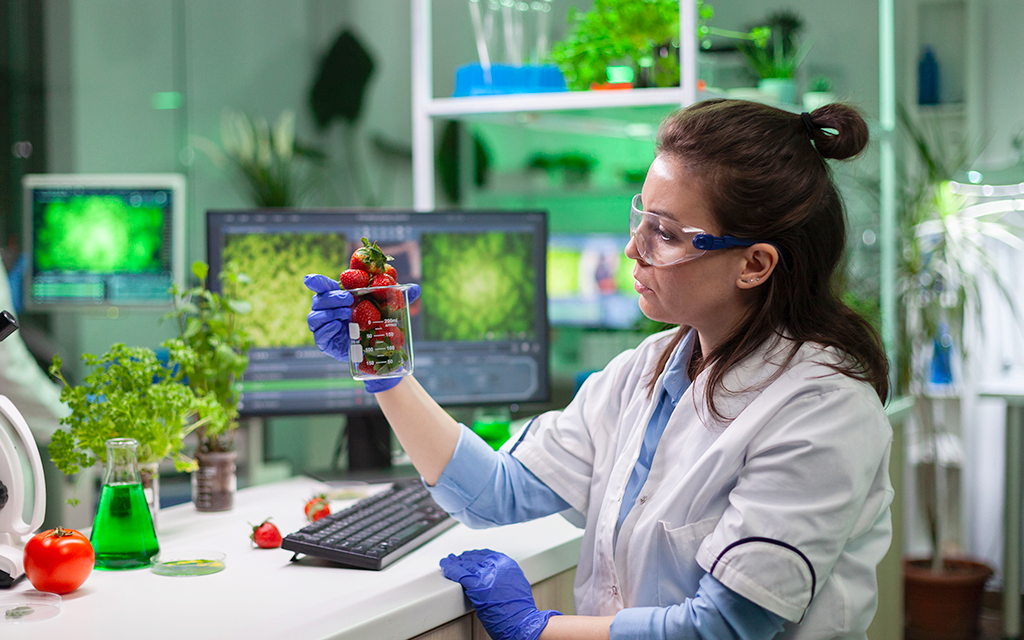 A Scientist girl doing laboratory research of red fruits and vegetable sources of cellulose, lignin and furfural compounds.  
